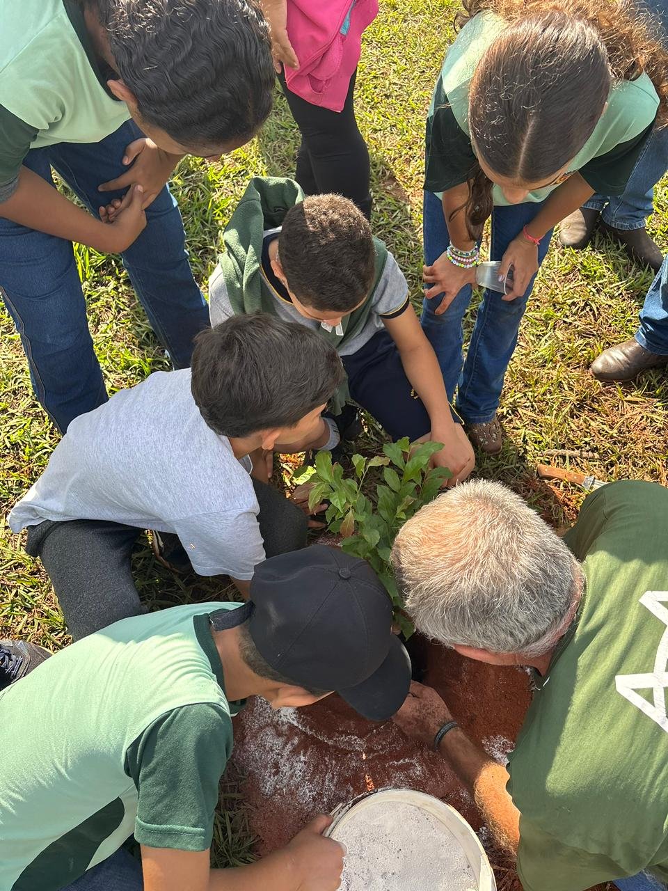 Plantio 13 — foto 10