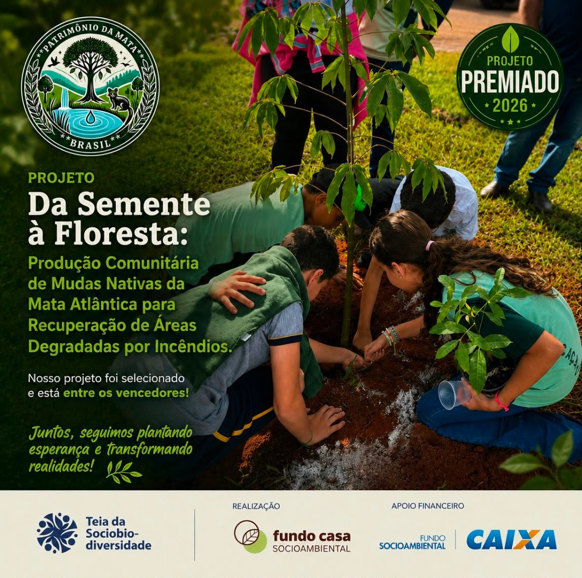 Muda nativa sendo plantada no noroeste paulista